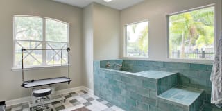 Lucerne at Lake Brandon Apartments Gallery 23