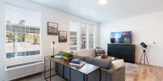 Red Hawk and Laurel Grey Gallery 6