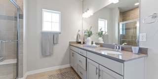 Mangold831 (KC-LN) Gallery 44
