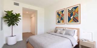 395 6th St Apt 305 Gallery 2
