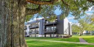 Compass Vista Gallery 5