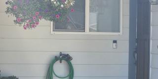 Pet Friendly, Single-Level, Attractively Updated Home in NE Newberg Gallery 1