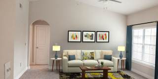 Estates at Vista Ridge Gallery 13