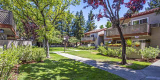 Valley Plaza Villages Gallery 15