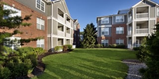 Lake Clearwater Gallery 15