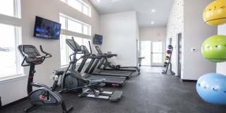 The Pitch Gallery 19