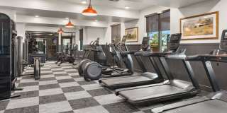 Alta Uptown Gallery 43