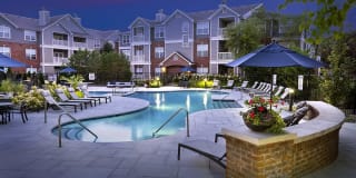 Lake Clearwater Gallery 29