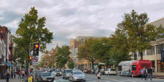 Belvedere Gallery 32