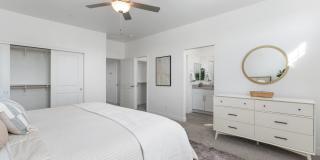 Annex at Cadence Gallery 14