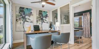 The Oasis Gallery 22