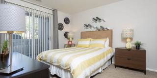 Lakeshore Apartments Gallery 23