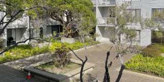 Sunny Studio in Resort Setting on the Bay 15 minutes from SF Gallery 16