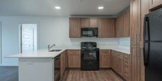 Black Feather Gallery 1