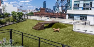 Avalon Riverview Gallery 57