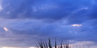 Vero Beach Rentals. Vero Beach Rent, LLC and Property Management Company Vero Beach Rentals. Vero Beach Rent, LLC and Property Management Company Gallery 52