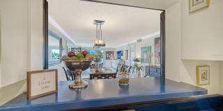 1355 S PORTOFINO DRIVE Gallery 36