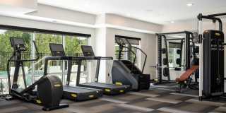 The Westlyn Gallery 26