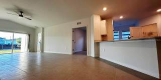 339 PUMA LOOP Gallery 11