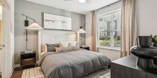 Ascend at Carlton Gallery 62