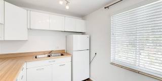 Twin Maples Gallery 17