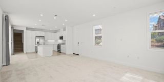 430 Lobata Gallery 6