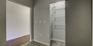 Queen Anne Collection Gallery 41