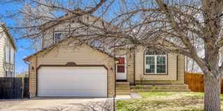 6185 Wheatgrass Drive Gallery 1