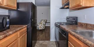 Northwood Gallery 15