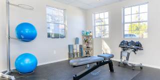 The Palisades Gallery 11