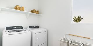 Amavi Aster Ridge Gallery 26