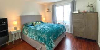 1 Bedroom 1 Bathroom in Newpark Village Available Soon! Small Pets are Welcomed! Gallery 10