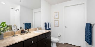 Env Chicago Gallery 43