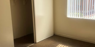 Tropicana Village Gallery 11