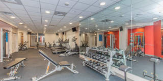 Polaris at SeaTac Gallery 24