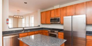 1000 Crosby Gallery 2