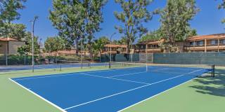 Birchwood Village Apartment Homes Gallery 4