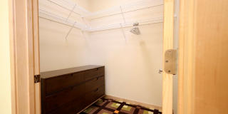 Settlement Place Gallery 422