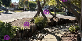 1257 Cougar Lane Gallery 24