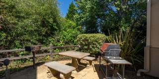 Newly renovated downstairs 1 bedroom 1 bath. Gallery 31