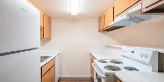 Village Square Gallery 1