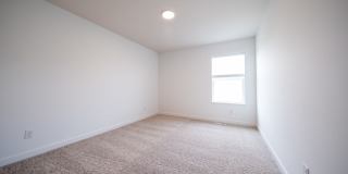 21618 Orchid Path Gallery 23