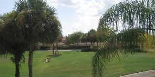 10537 Washingtonia Palm Way Gallery 30