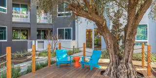 Vita Apartment Homes Gallery 45