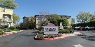 212 Pacifica Blvd #202. Watsonville, CA 95076 - Studio apartment Gallery 1