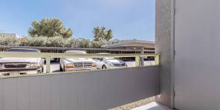 Saguaro Villas Gallery 50