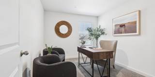 Canvas at Anna Gallery 43