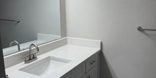 Palms of Clearwater Gallery 71