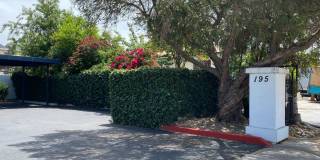 The Mariposa Gallery 11