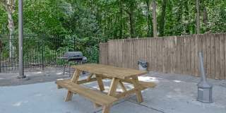 Vivo Living North Woods Gallery 7